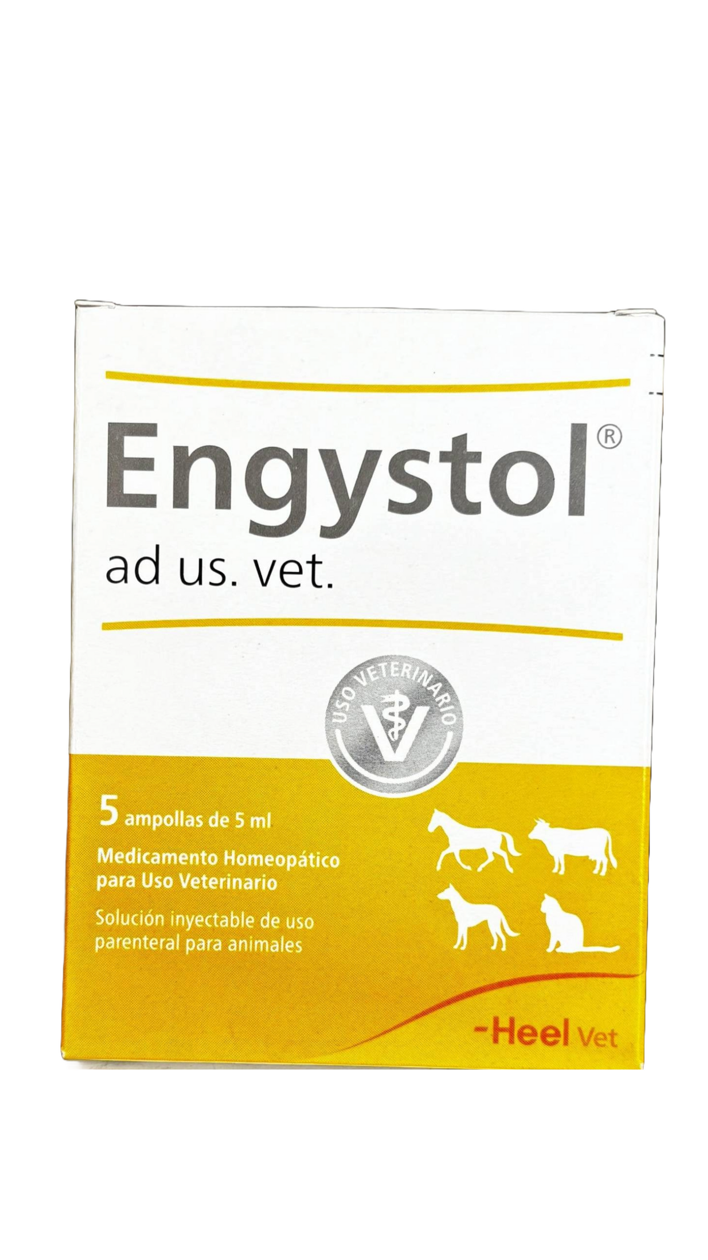 Engystol Ad Us Vet Inyectable en caja x 5 ampollas 5ml