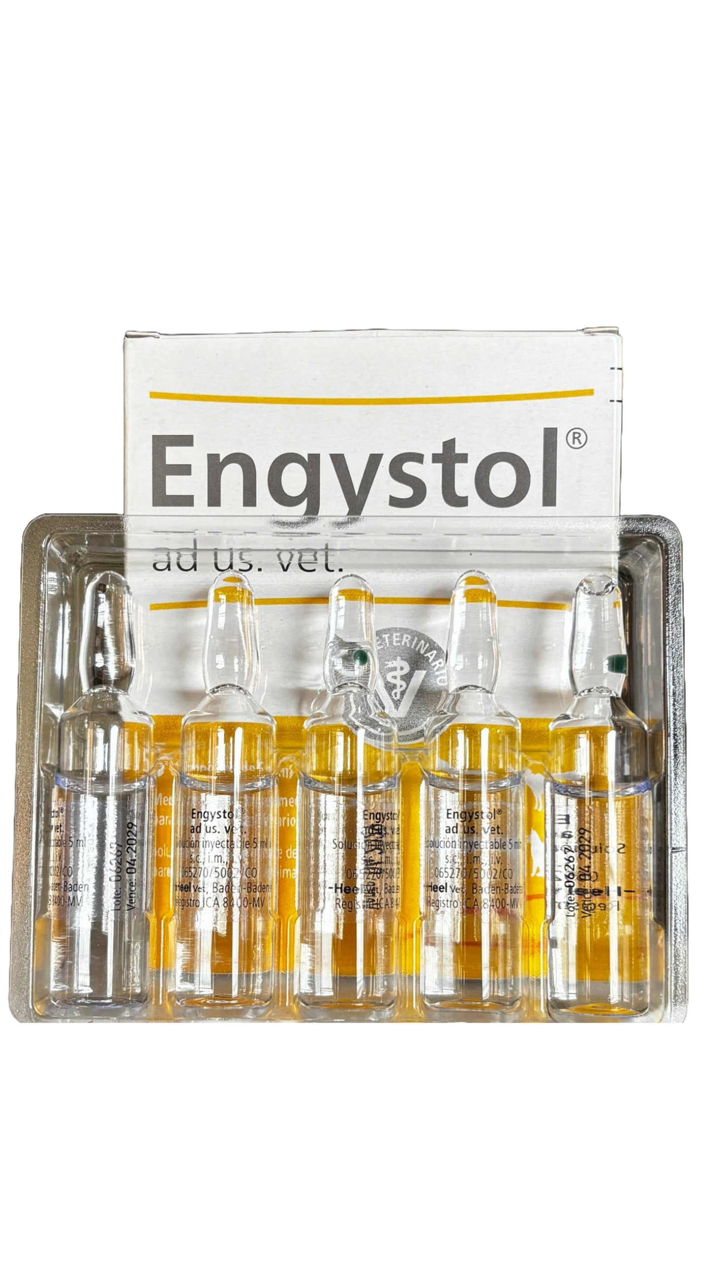 Engystol Ad Us Vet Inyectable en caja x 5 ampollas 5ml