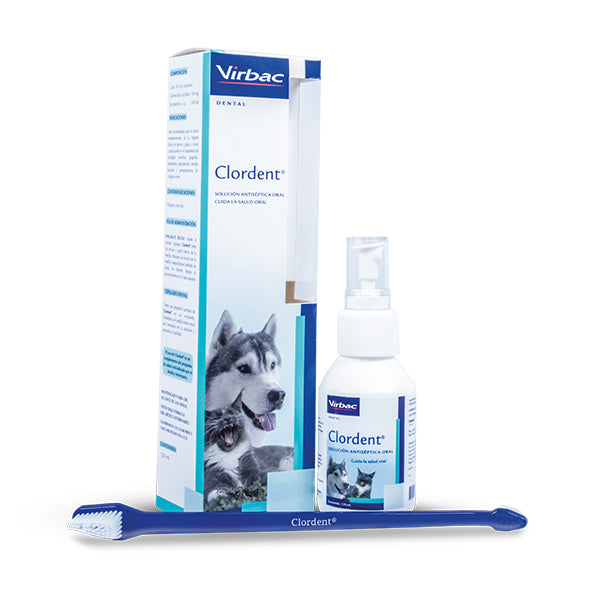Clordent Oral 120 ml + Cepillo